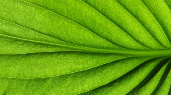 CGI commits to net-zero carbon emissions by 2030 