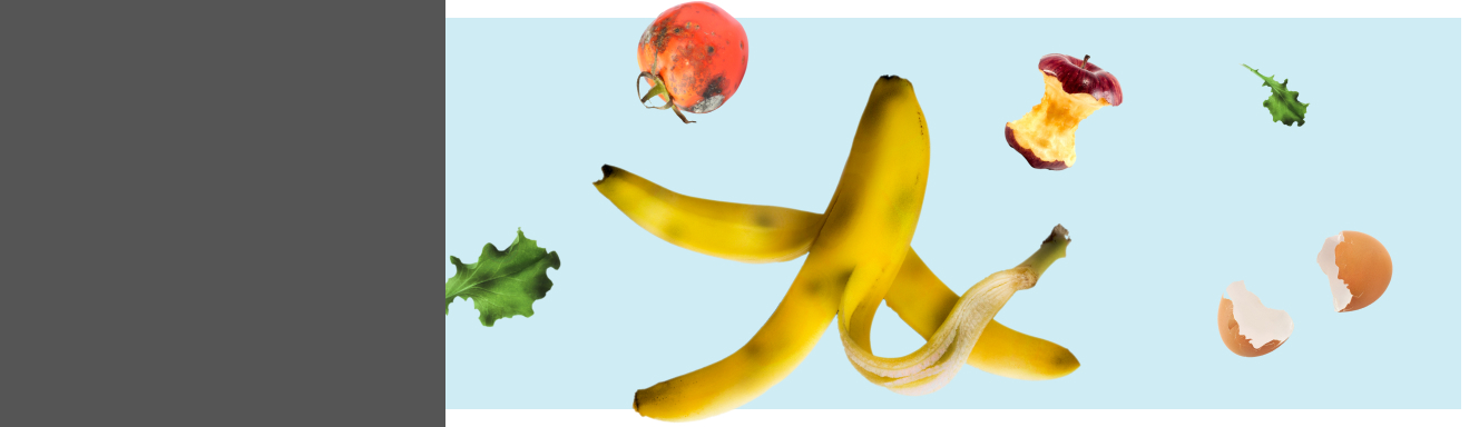 Banana peel, rotten tomato, egg shells, half eatten apple, etc.