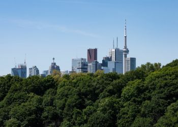 Skyline of Toronto with trees, city buildings and CN Tower in distance with blue a sky.